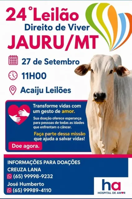 24º Leilão Direito de Viver - Jauru - MT
