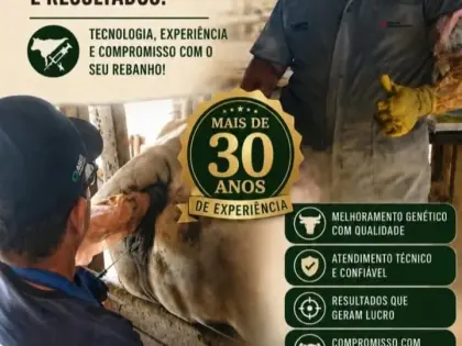 Inseminação Artificial com Responsabilidade e Resultados! Com Geraldo Coruja