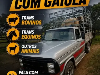 Fretes com gaiola para bovinos e equinos em Jauru