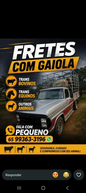 Fretes com gaiola para bovinos e equinos em Jauru